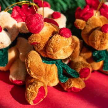 Toy Donation